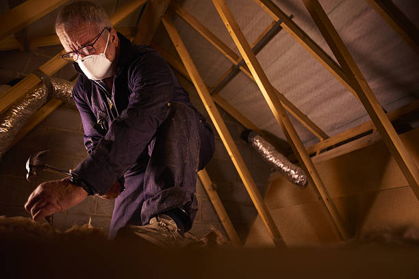 Best Insulation Removal  in Carroll, IA